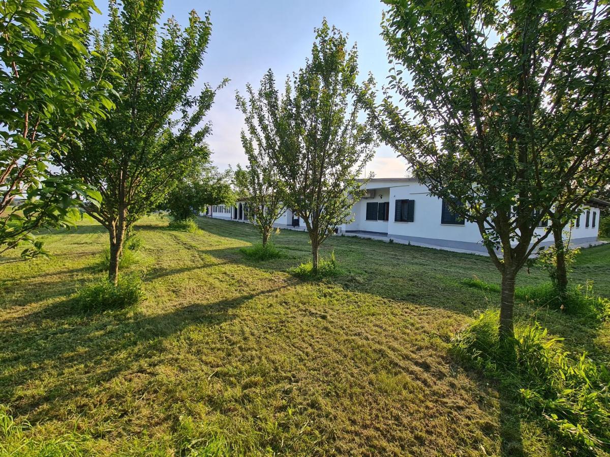 Agriturismo Ca Novak Venezia Спинея Екстериор снимка