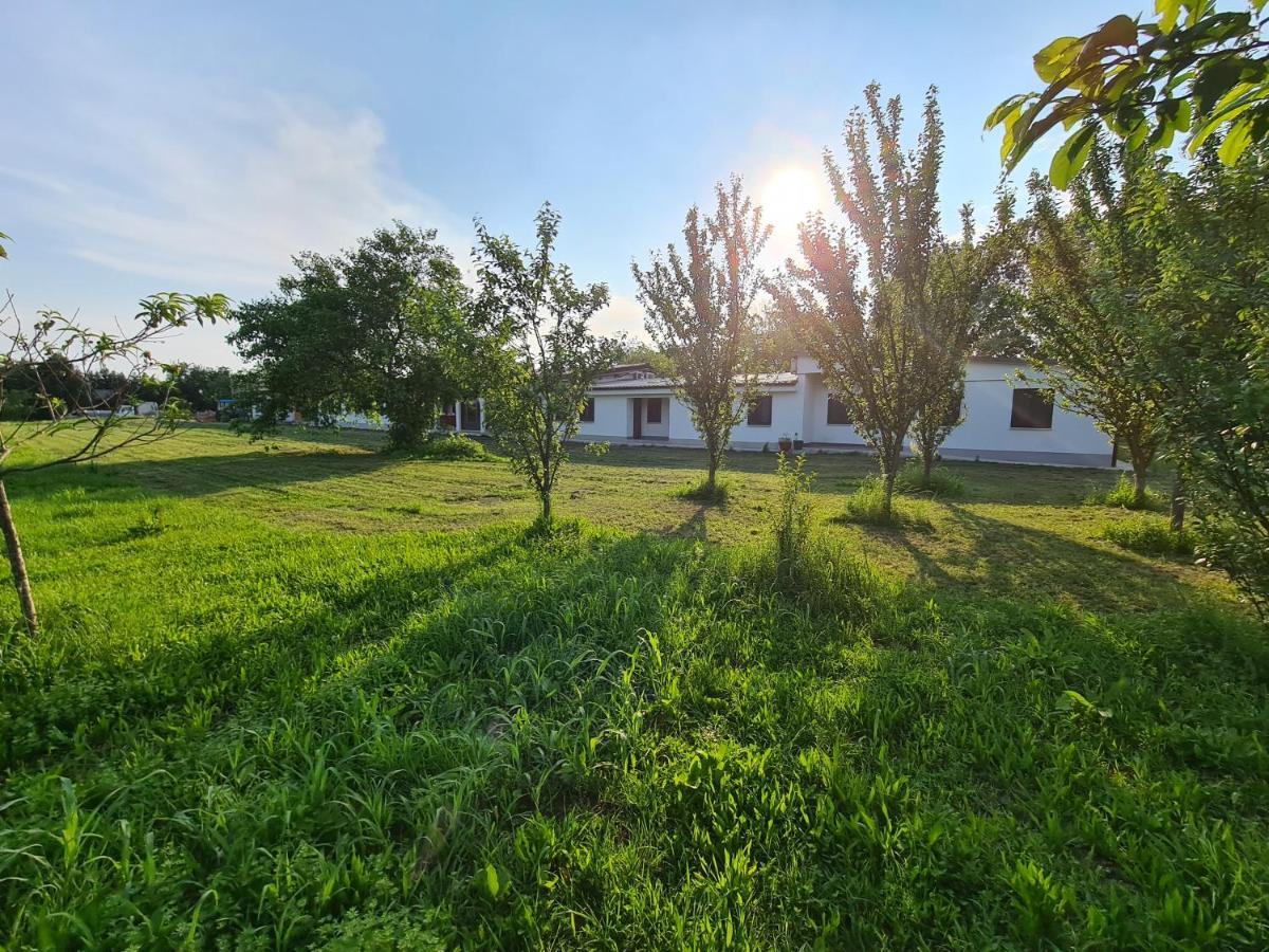 Agriturismo Ca Novak Venezia Спинея Екстериор снимка